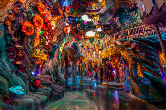 Unleashing Creativity: The Whimsical World of Meow Wolf